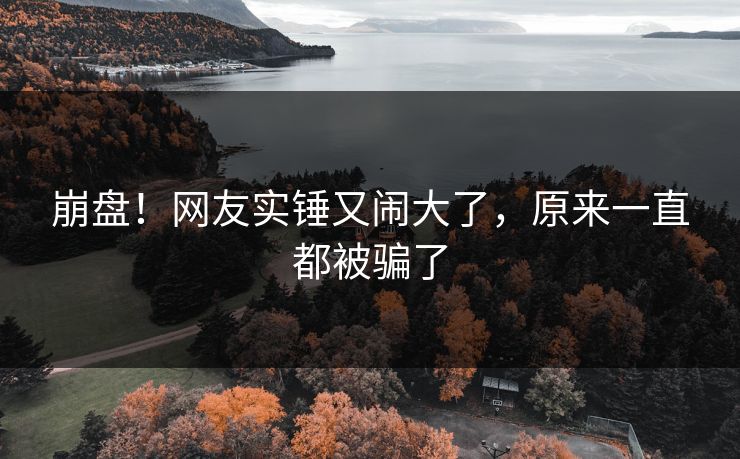 崩盘！网友实锤又闹大了，原来一直都被骗了