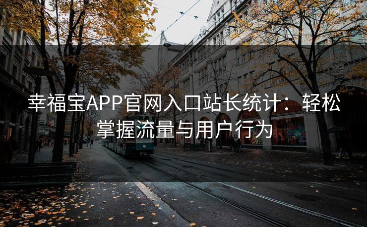 幸福宝APP官网入口站长统计：轻松掌握流量与用户行为