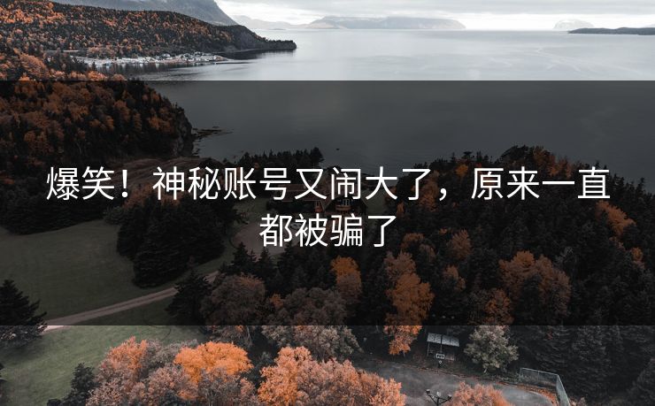 爆笑！神秘账号又闹大了，原来一直都被骗了