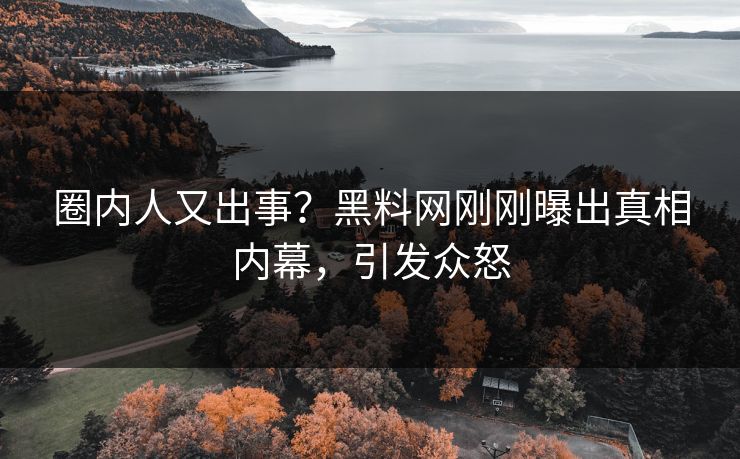 圈内人又出事？黑料网刚刚曝出真相内幕，引发众怒