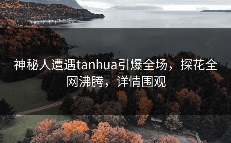 神秘人遭遇tanhua引爆全场，探花全网沸腾，详情围观